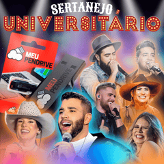 Sertanejo Universitário Atualizado - PENDRIVE DE 16GB